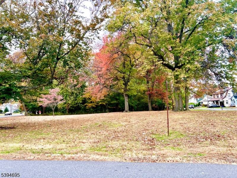 Welcome to this beautiful spacious home on a lovely street in a great neighborhood bordering Kenilworth.