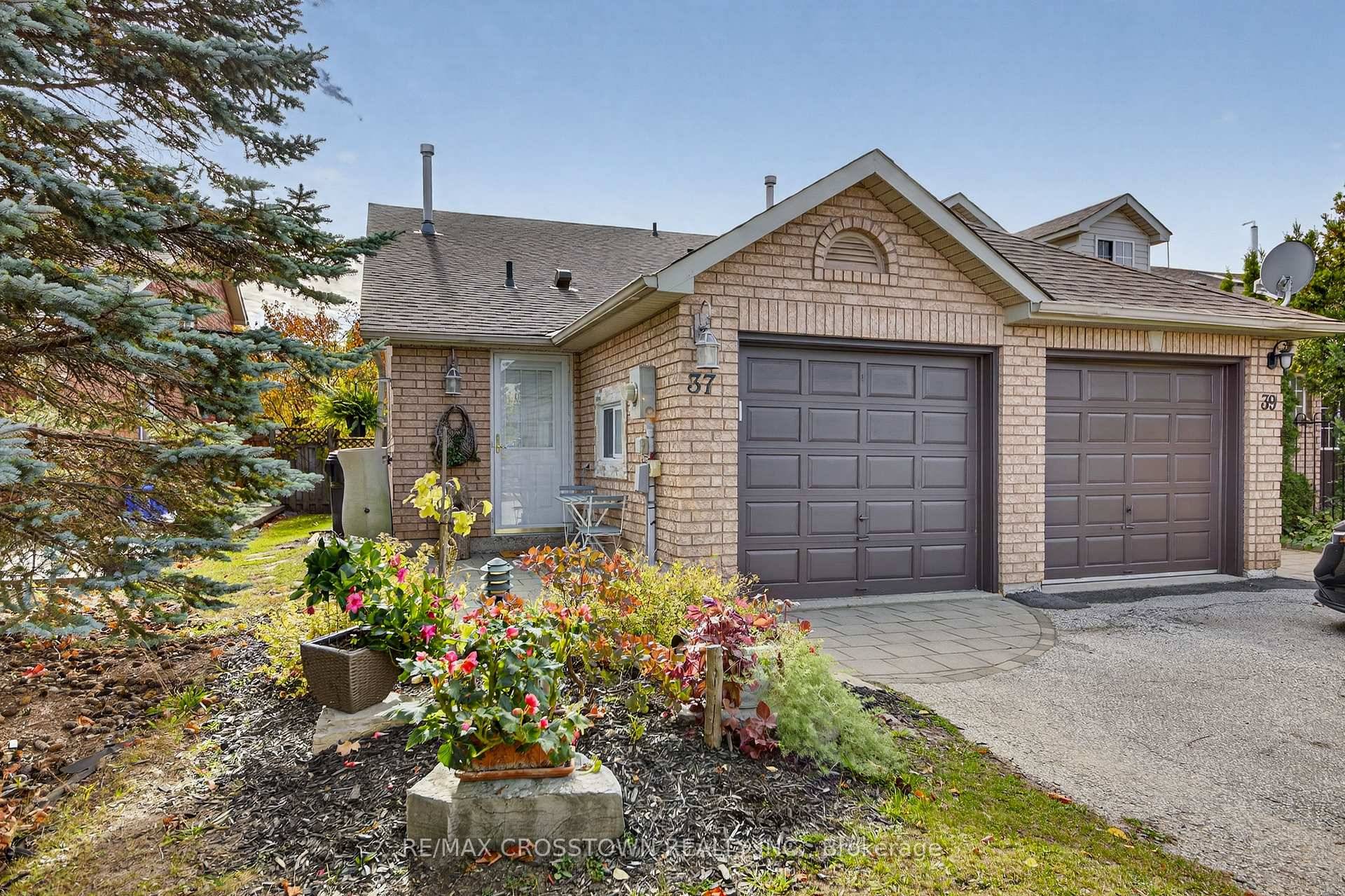 Welcome to 37 Seymour Cres.