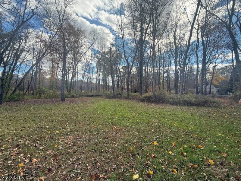 Undeveloped 1. 14 acre lot in Montville.
