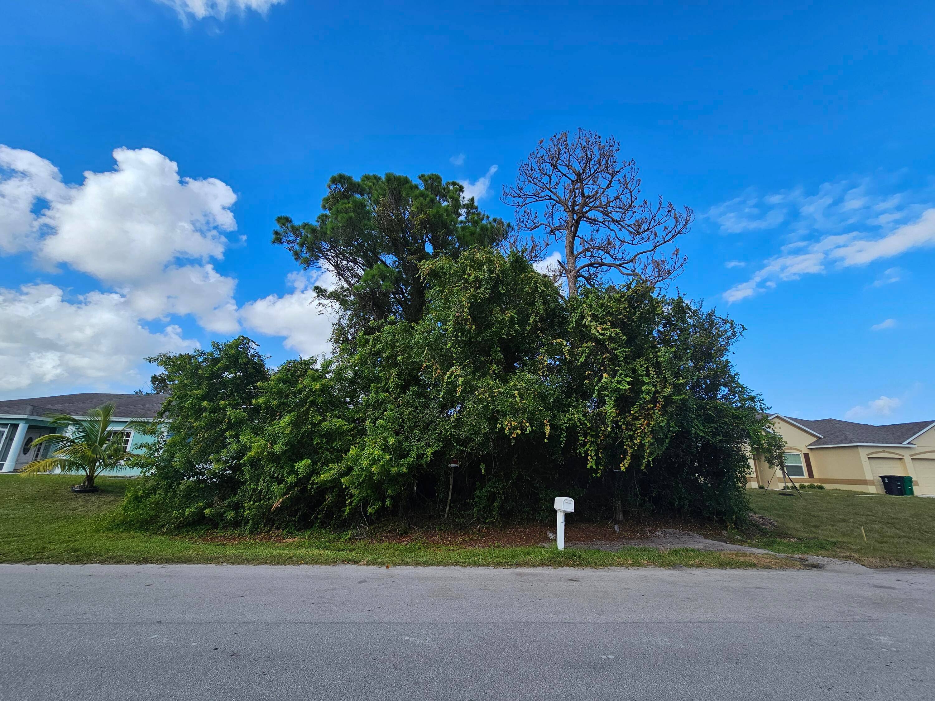 EXCELLENT LOCATION FOR YOUR NEW HOME, VERY NICE NEIGHBORHOOD WITH WELL MAINTAINED HOMES, CLOSE TO OAK HAMMOCK K 8 SCHOOLS, JUST MINUTES AWAY FROM ST LUCIE WEST BLVD AND TRADITION ...