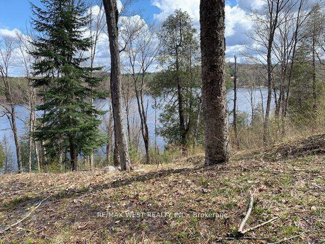 This stunning 0. 76 acre waterfront lot on Forest Lake near Sunridge offers over 102 feet of east facing sand bottom frontage, providing breathtaking sunrises and sunsets in a serene ...