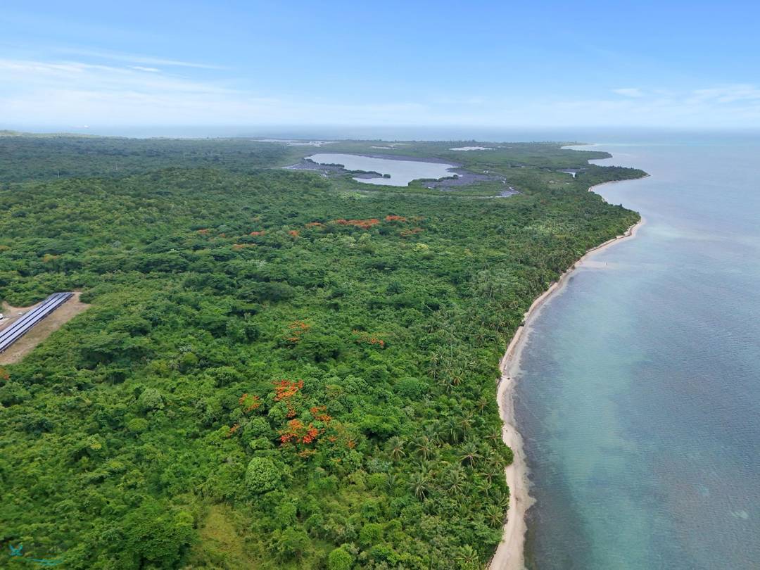 PR 994 Land Vieques