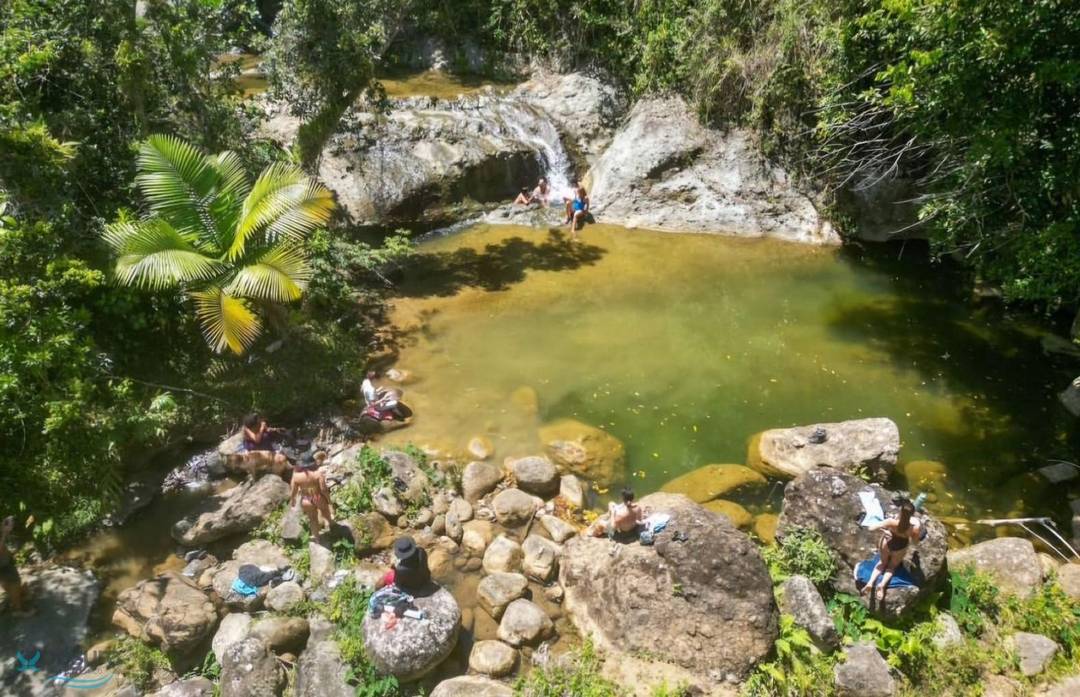 BO. CEDRO, KM. 6.2 INTERIOR, CULEBRAS BAJO, CAYEY PR 00736 Land Cayey
