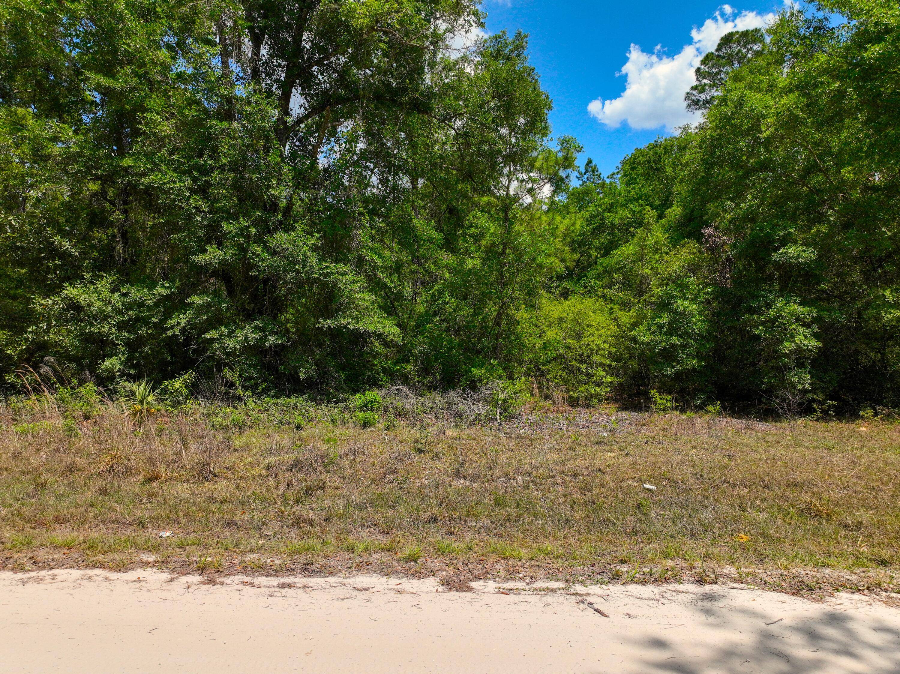 Do not miss out on this 4 acre lot waiting for you to bring your mobile or build your new single family home !