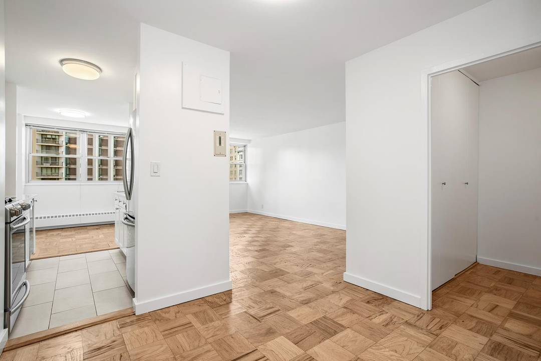 Bright, Spacious, Renovated This Alcove Studio Checks All the Boxes !