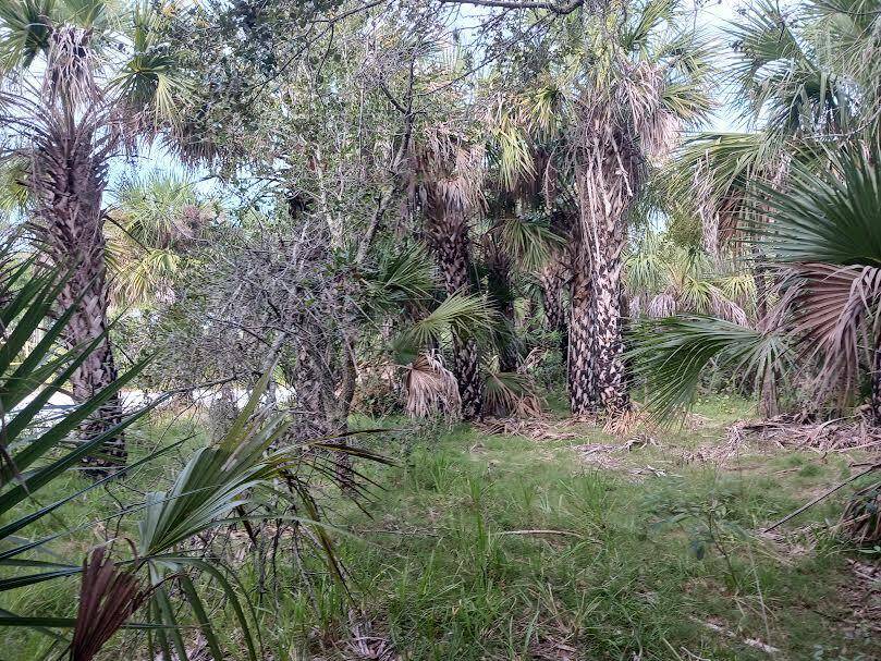 SEBASTIAN waterfront lot, 1 2 acre with water on two sides.