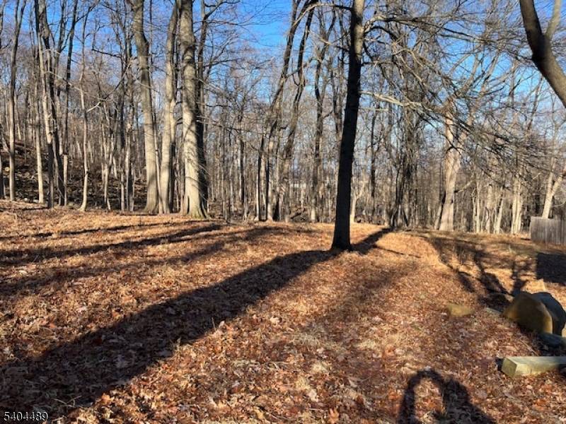 TWO SUBDIVIDED BUILDABLE LOTS APPROXIMATELY ONE ACRE EACH IN NORTH CALDWELL CEDAR GROVE.