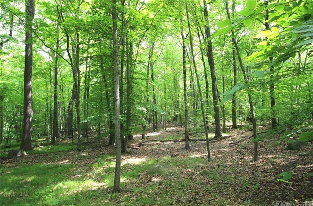 World class building lot with unlimited potential.