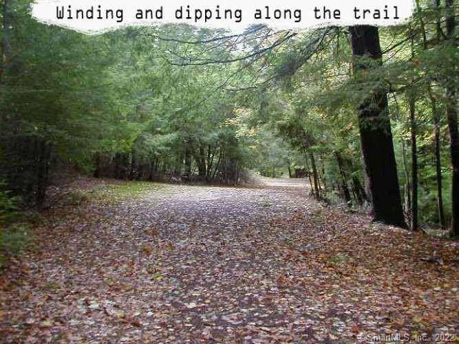 100 acres of mostly wooded land.