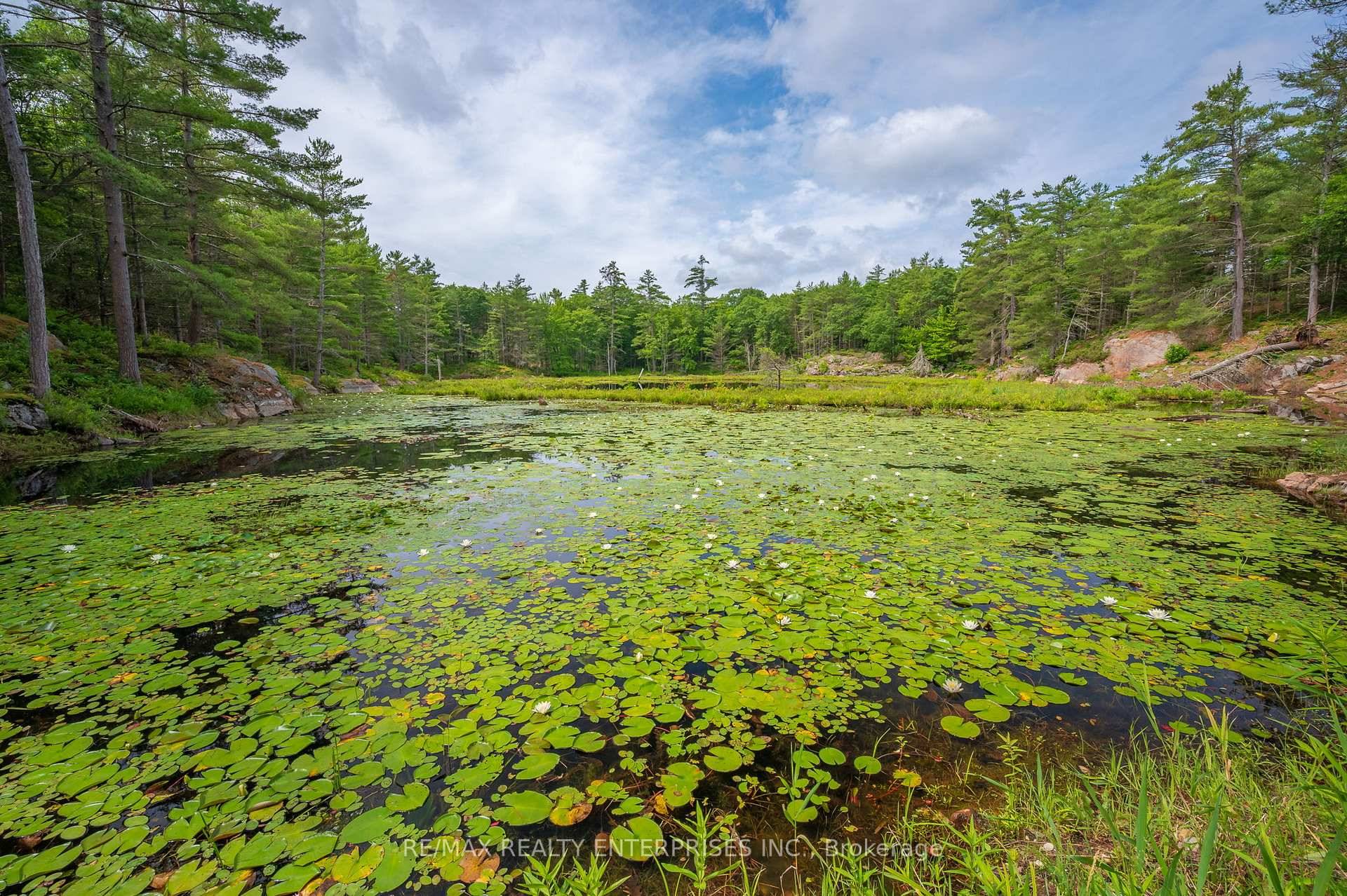 Rare 4 Season Municipal Access, Direct Waterfront Acreage on Six Mile Lake !