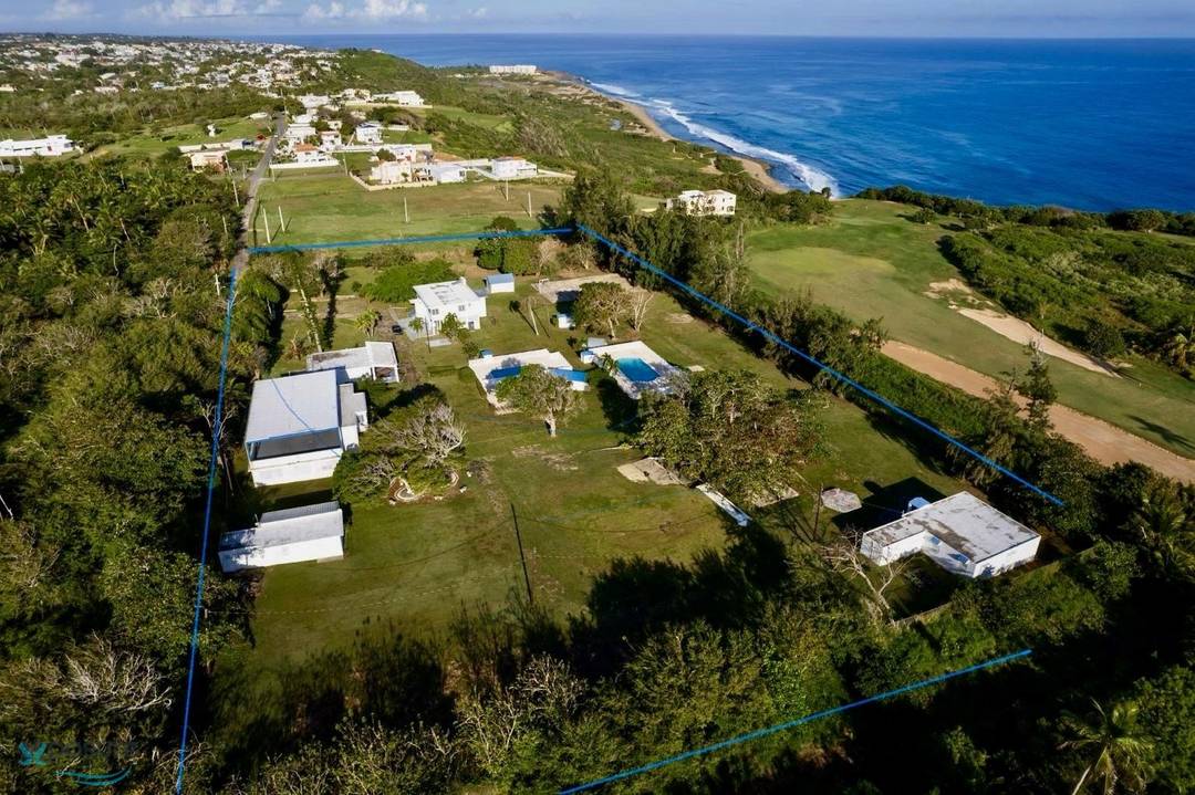 BEGONIA FINAL House Isabela