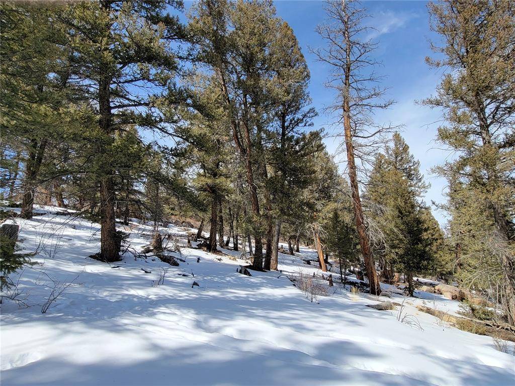 A beautiful Treed 1. 5 acres in Redhill Forest.