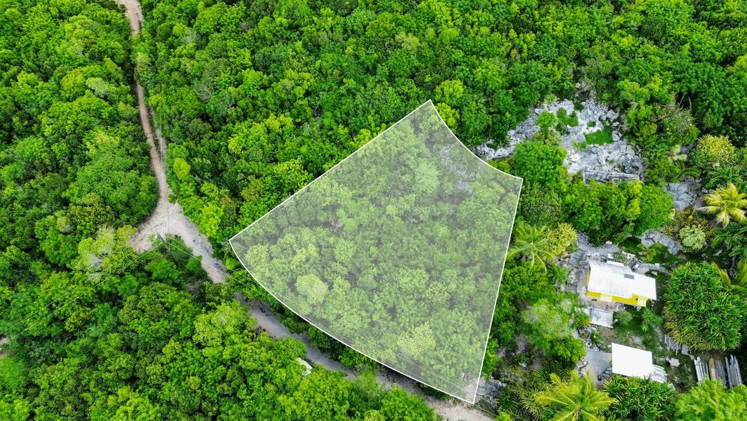 ELEUTHERA ISLAND SHORES Land Eleuthera