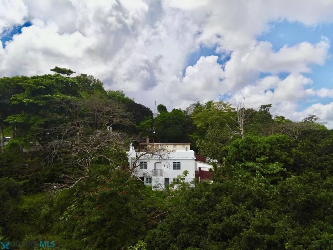 CALLE 11 COMUNIDAD MALPICA, RÍO GRANDE, PUERTO RICO House Rio-Grande