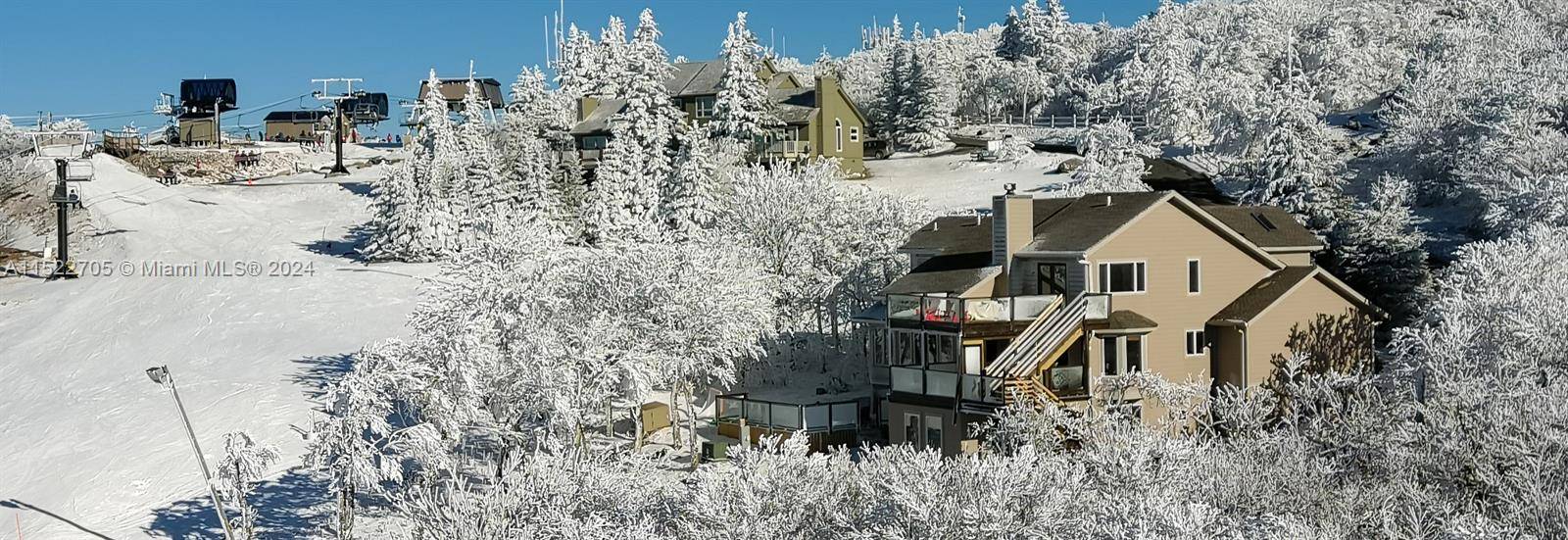 SKI IN SKI OUT Situated on the Beech Mountain West Bowl Trail, formerly the Oz Run, in your back yard.