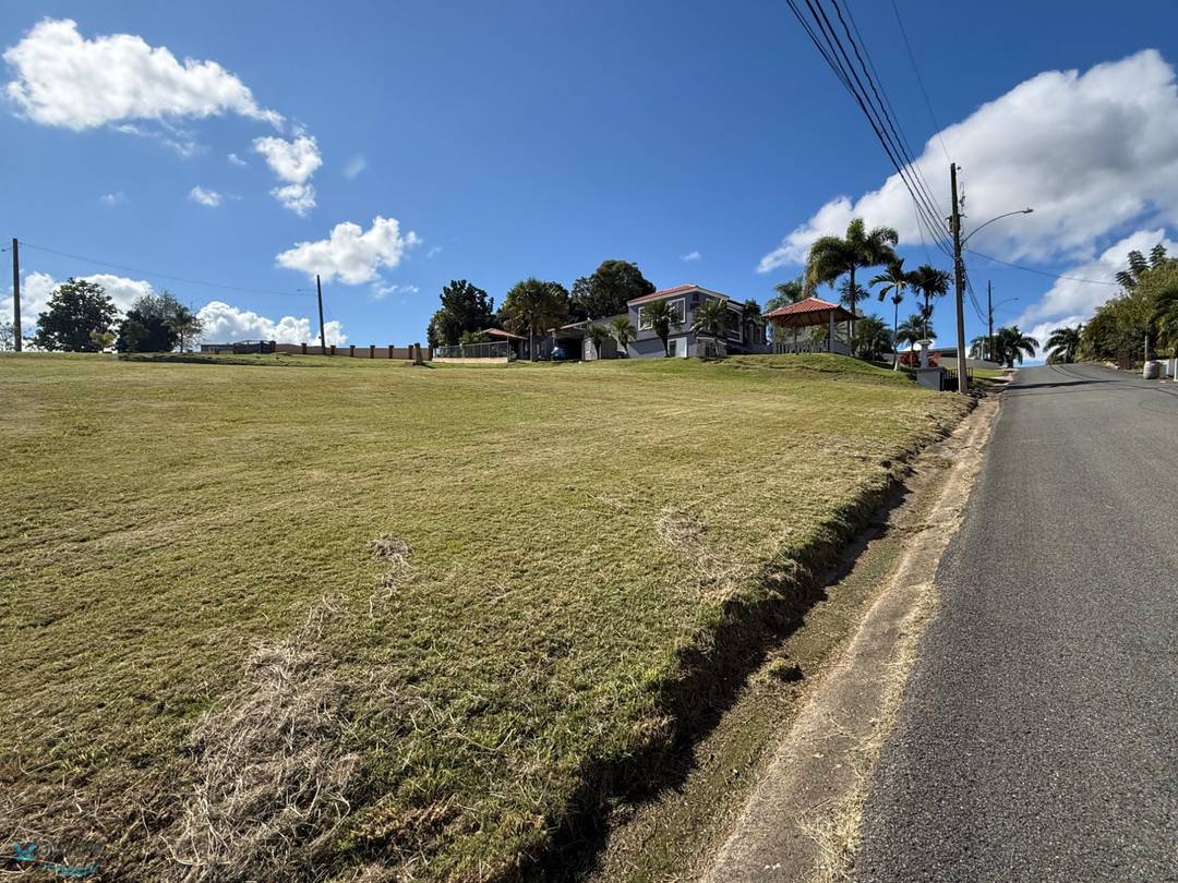 AIBONITO GUERRERO Land San-Sebastian