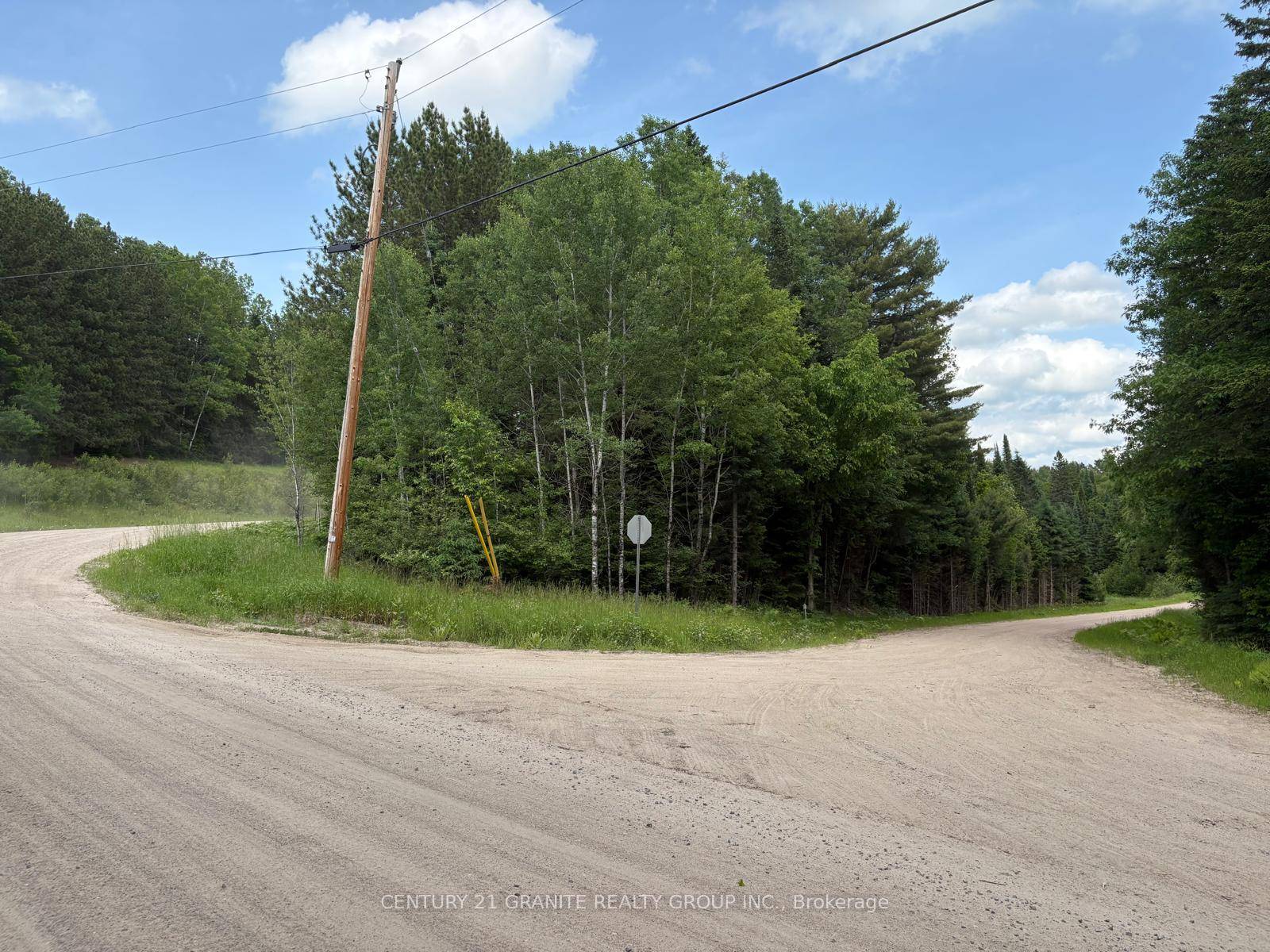 61 acres of mixed marsh and forest just 7 minutes from town and a short walk from the York River.