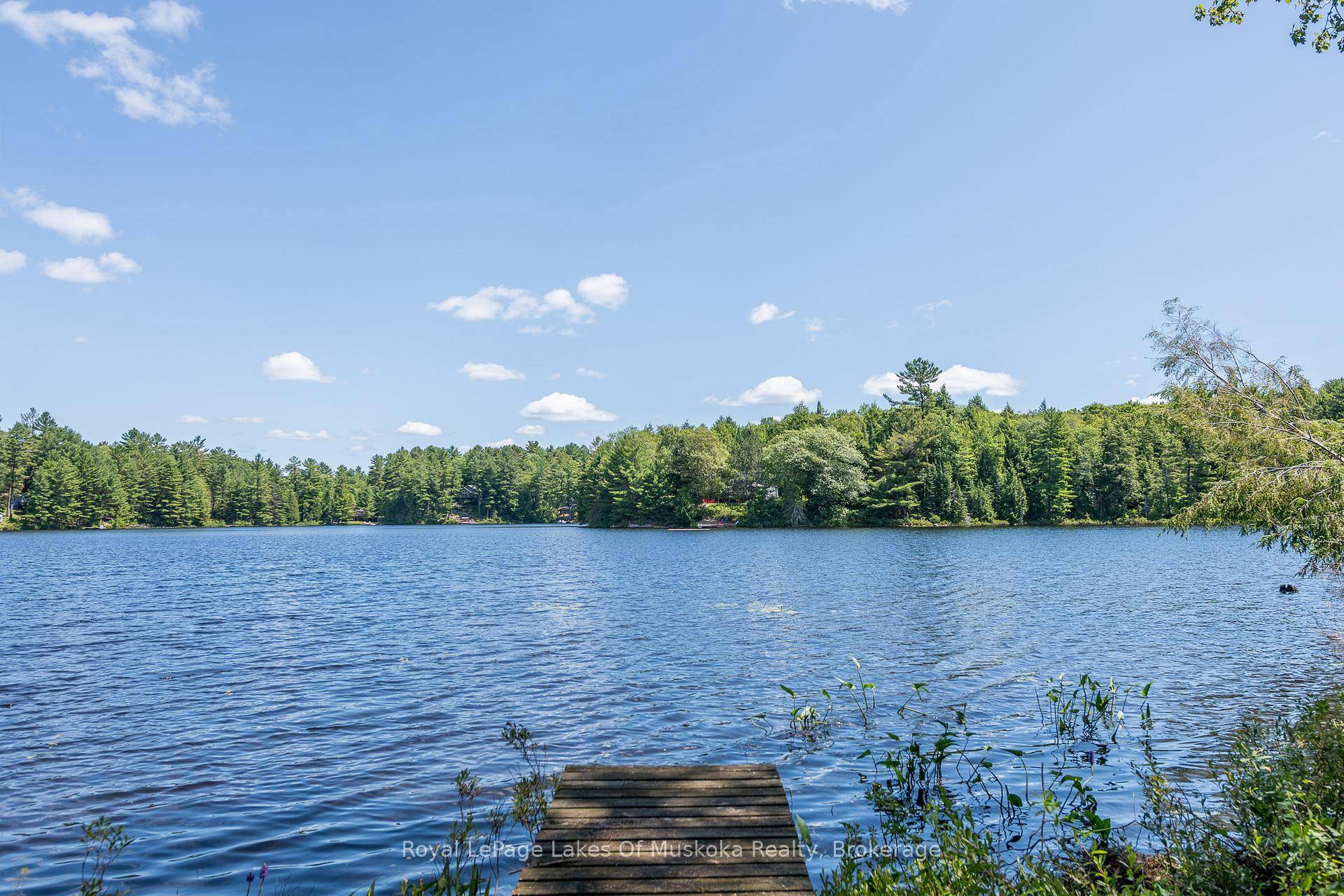 Absolutely beautiful 2. 38 acre waterfront building lot with 215' lakefront on pristine Otter Lake.