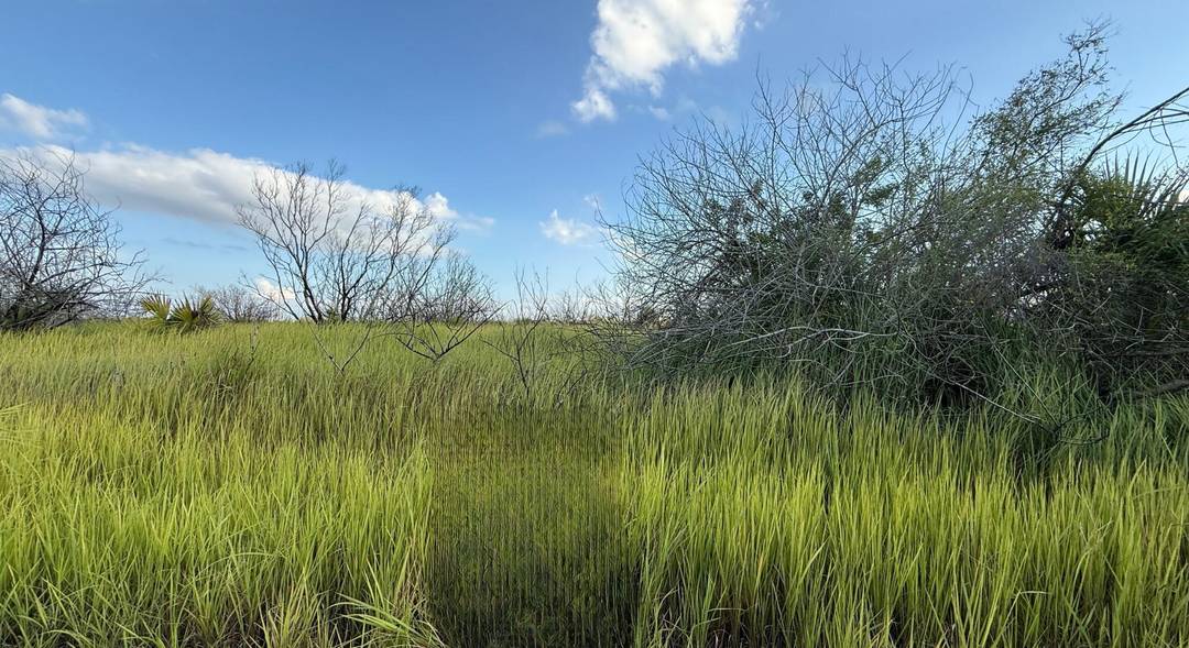 Oversized Lot 12, 632 sq ft Build Your Dream HomeQuiet, growing SW Palm Bay location with room to design the layout you want.