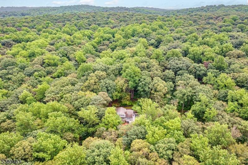 Experience the perfect blend of nature, privacy, and comfort on five gated, wooded acres bordering historic Lewis Morris Park and Jockey Hollow National Park.