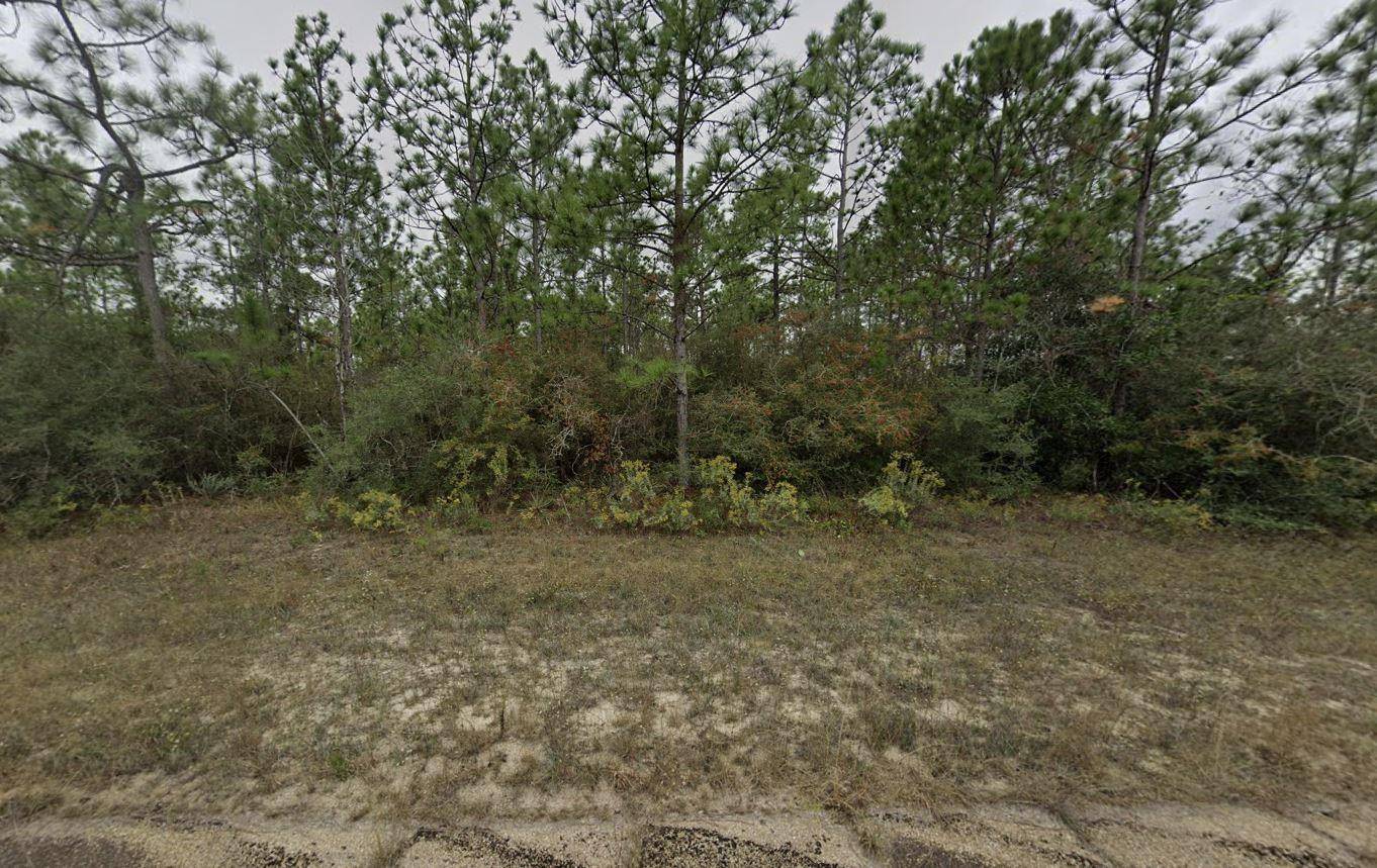 Double Lot Opportunity in Sunny Hills !