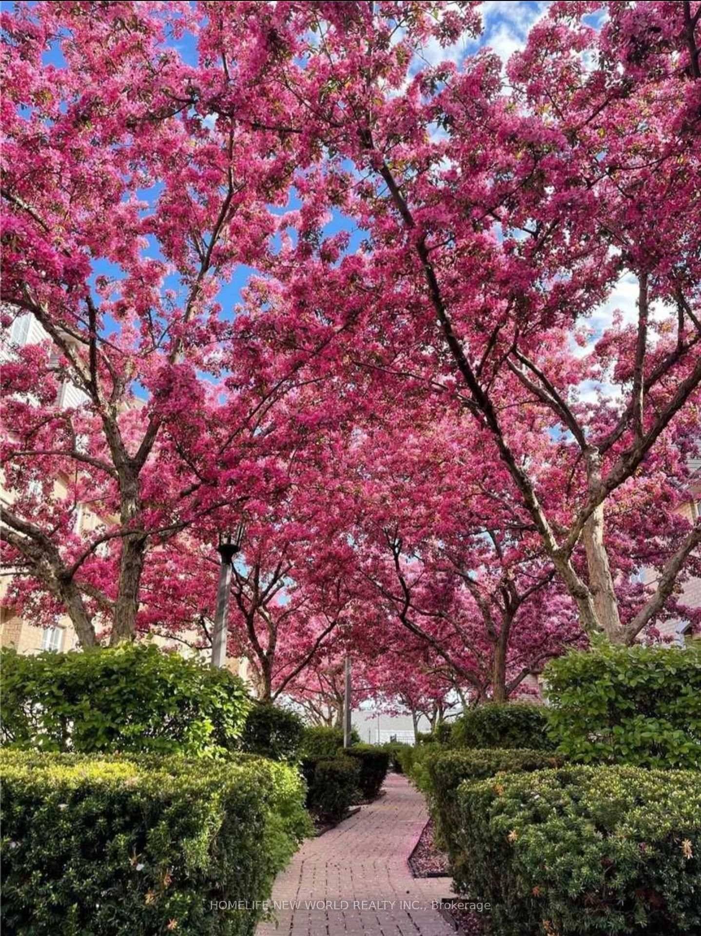 Newly Renovated Gorgeous Townhouse In The Center Of Richmond Hill.