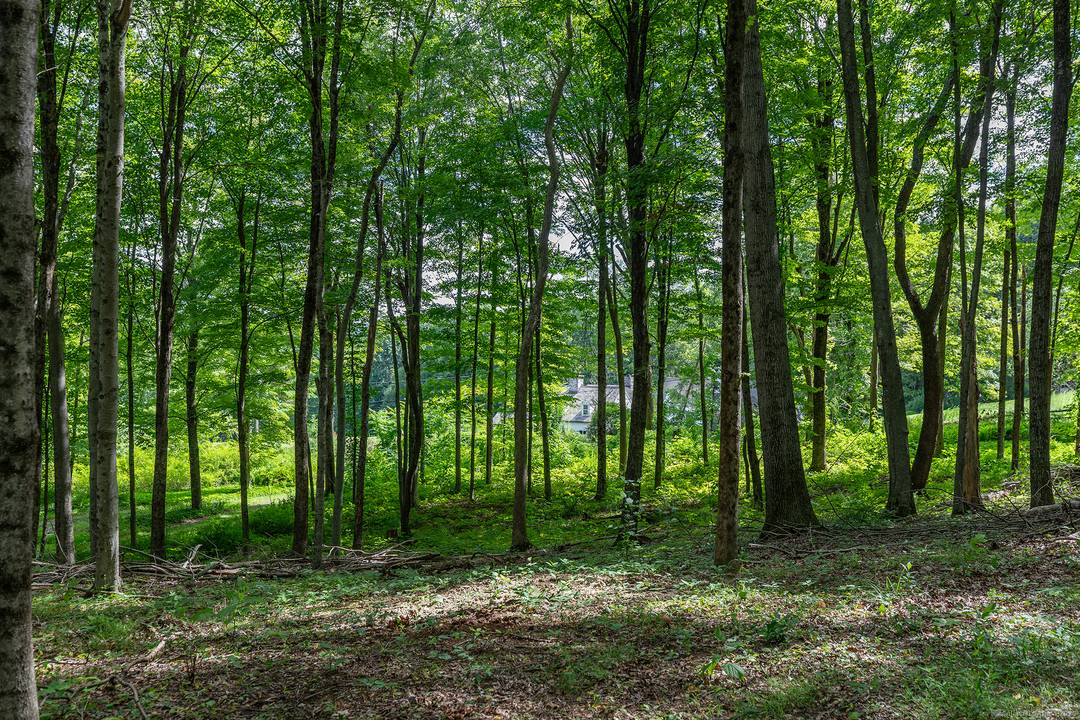 Peaceful 8. 2 acre parcel located on a scenic, quiet road in Roxbury.