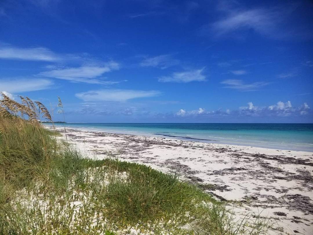 TYNE BEACH TERRACE Condo Grand-Bahama-Freeport