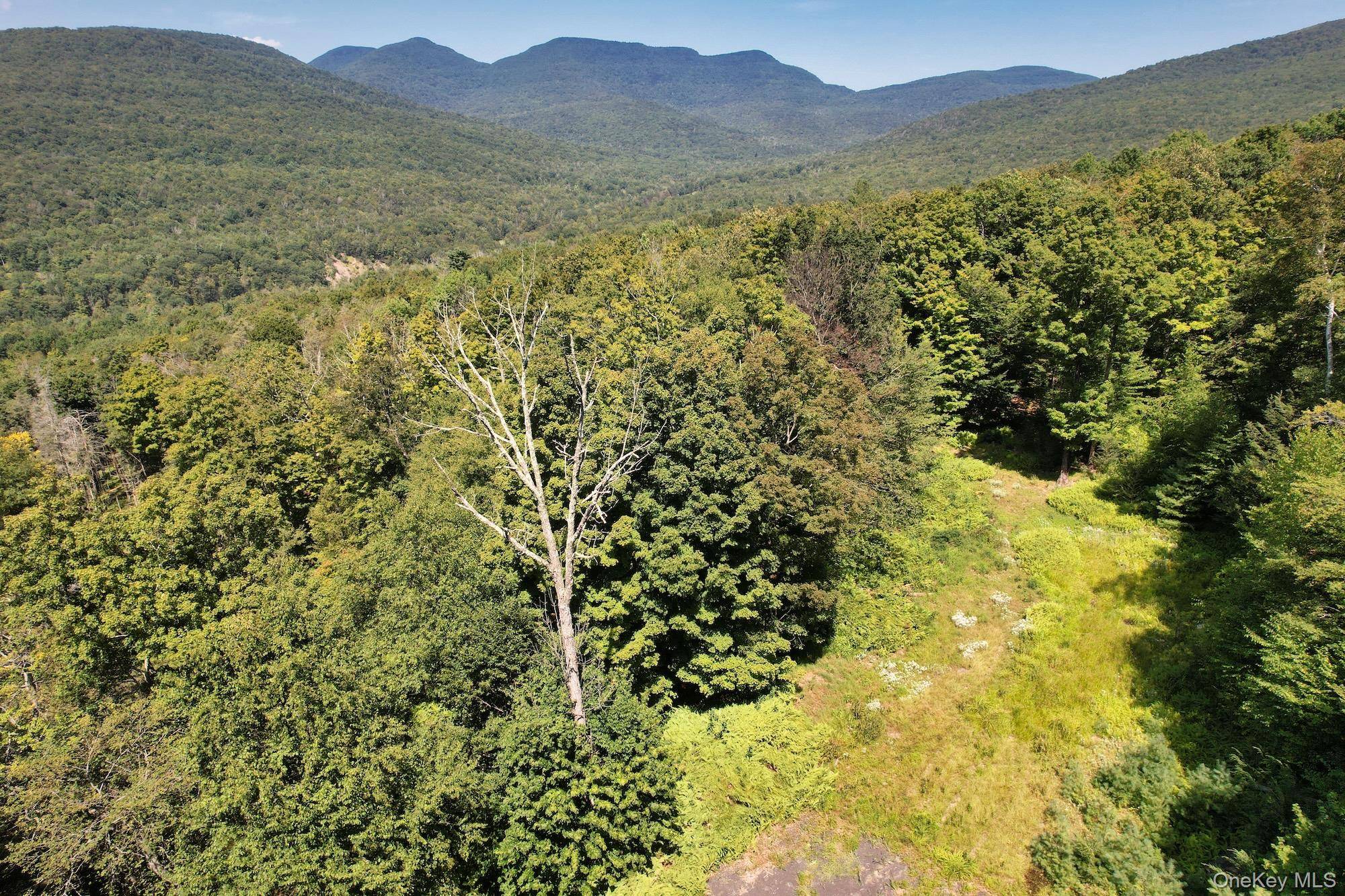 Pollinator s Pathway in Woodstock Discover 27 acres of untouched beauty just steps from the Tibetan Monastery, Magic Meadow, and the trailheads to Meads Mountain and Overlook Mountain.