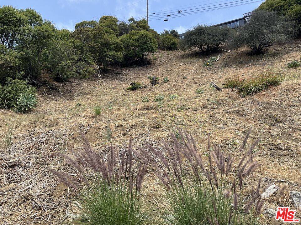 2734   La Cuesta Dr Hollywood Hills East La