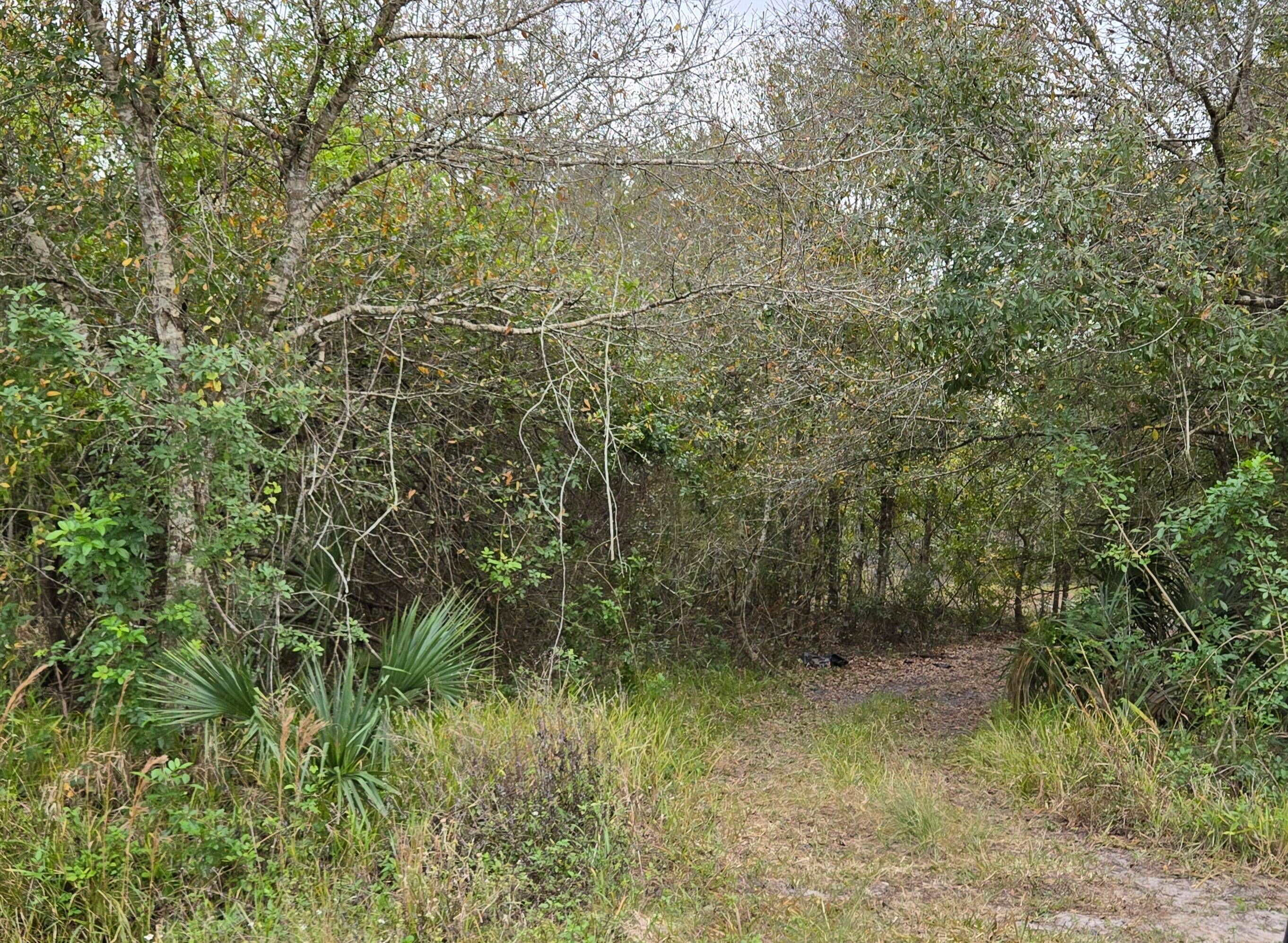 Buildable, wooded 1 acres minutes from town.