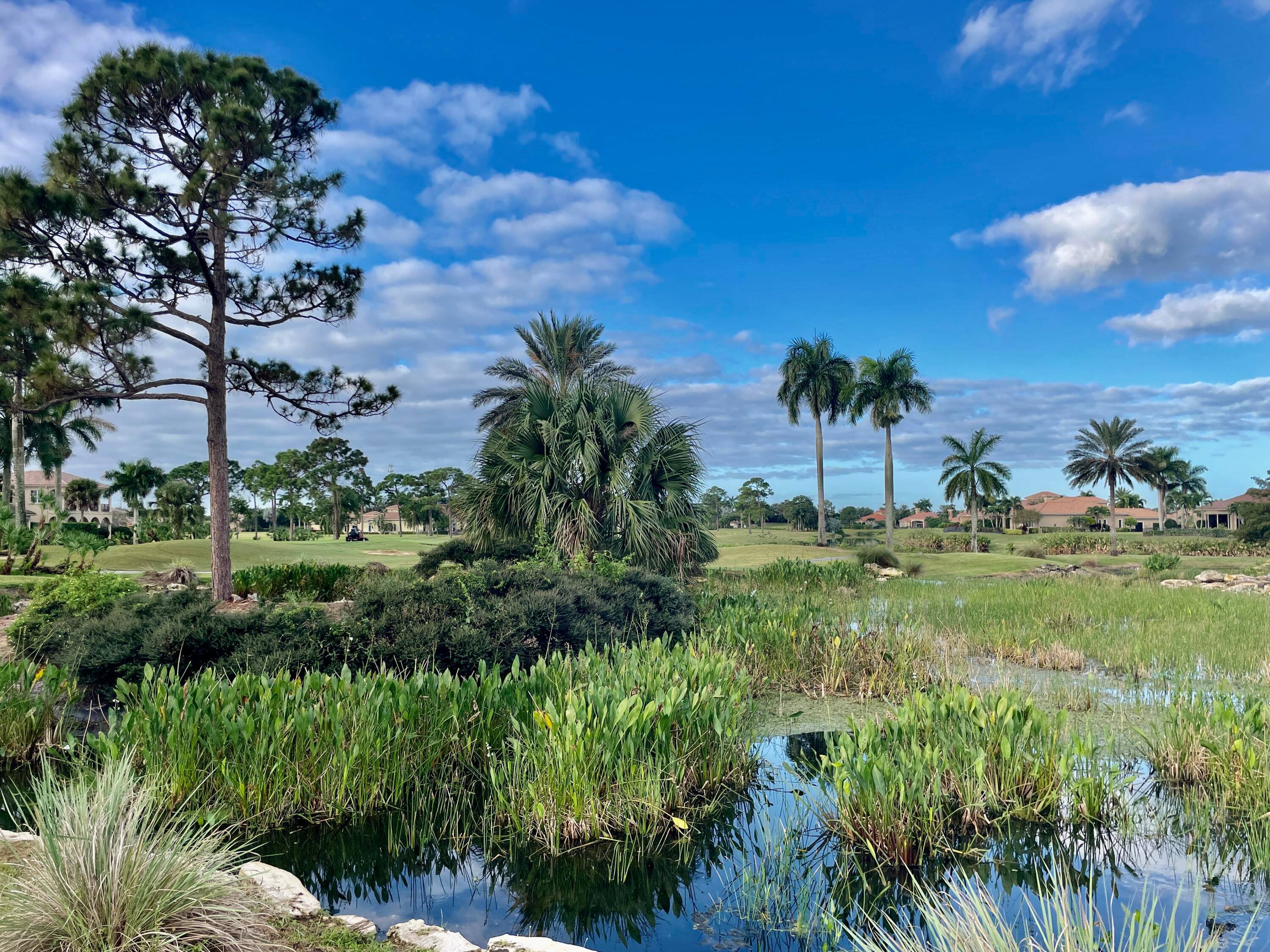 A man made pond with a waterfall cascading away from the site frame, the Green to Tee views of the Palmer 5th Golf Hole, and an oak tree line park ...