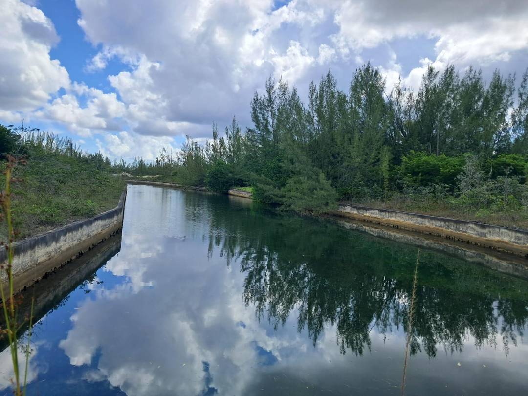 LINDSELL DRIVE Land Grand-Bahama-Freeport