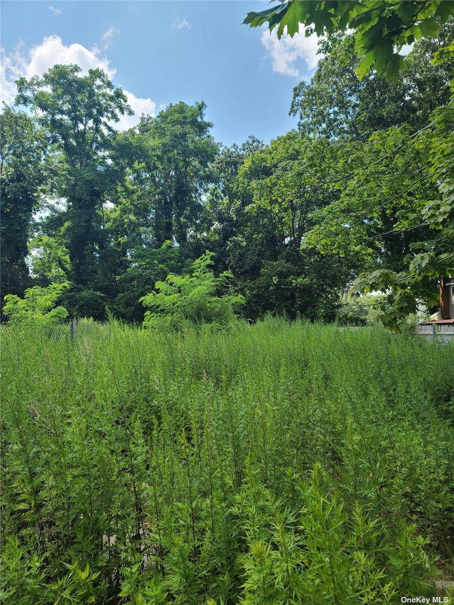 Build Your Dream Home ! Great Location !