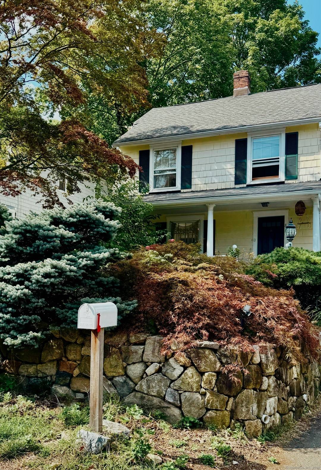 A 1920s Treasure with Park Views and a Walk to Everything Lifestyle !