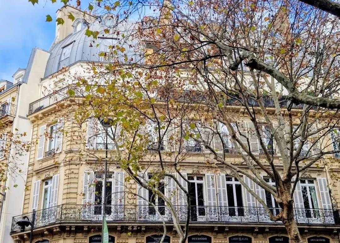 Duplex 4 rooms - Paris VI