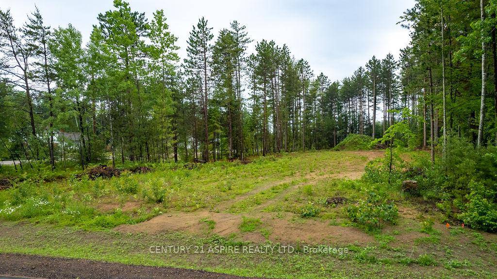 Your blank canvas in Petawawa starts here !
