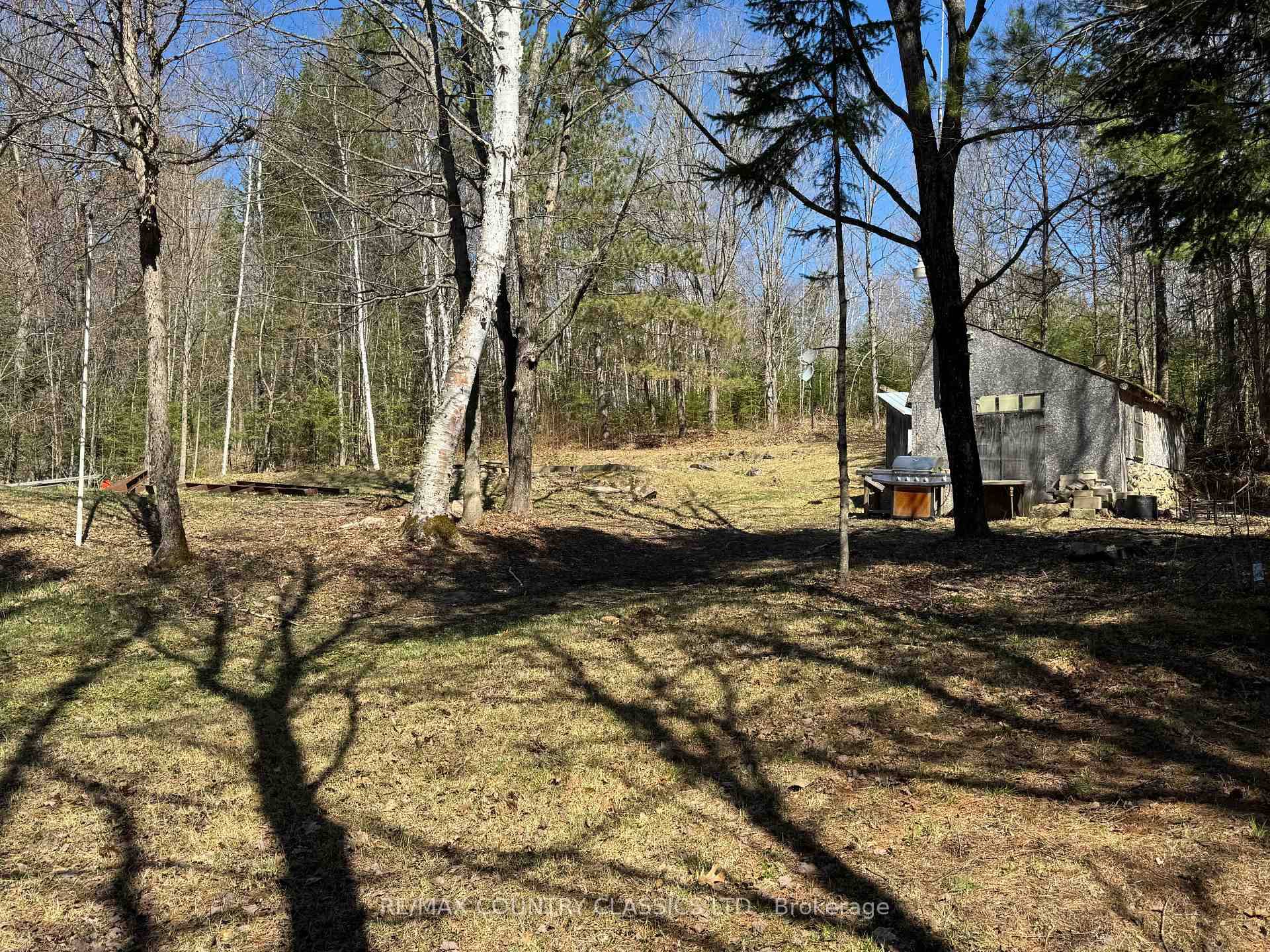 Nice one acre lot in Maple Leaf !