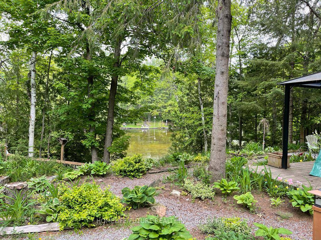 Waterfront Home Cottage Features An Open Concept Kitchen With Stainless Steel Appliances, Living Room With Propane Fireplace And A Wooden Cabin As A 3rd Bedroom Or Guest Bedroom.