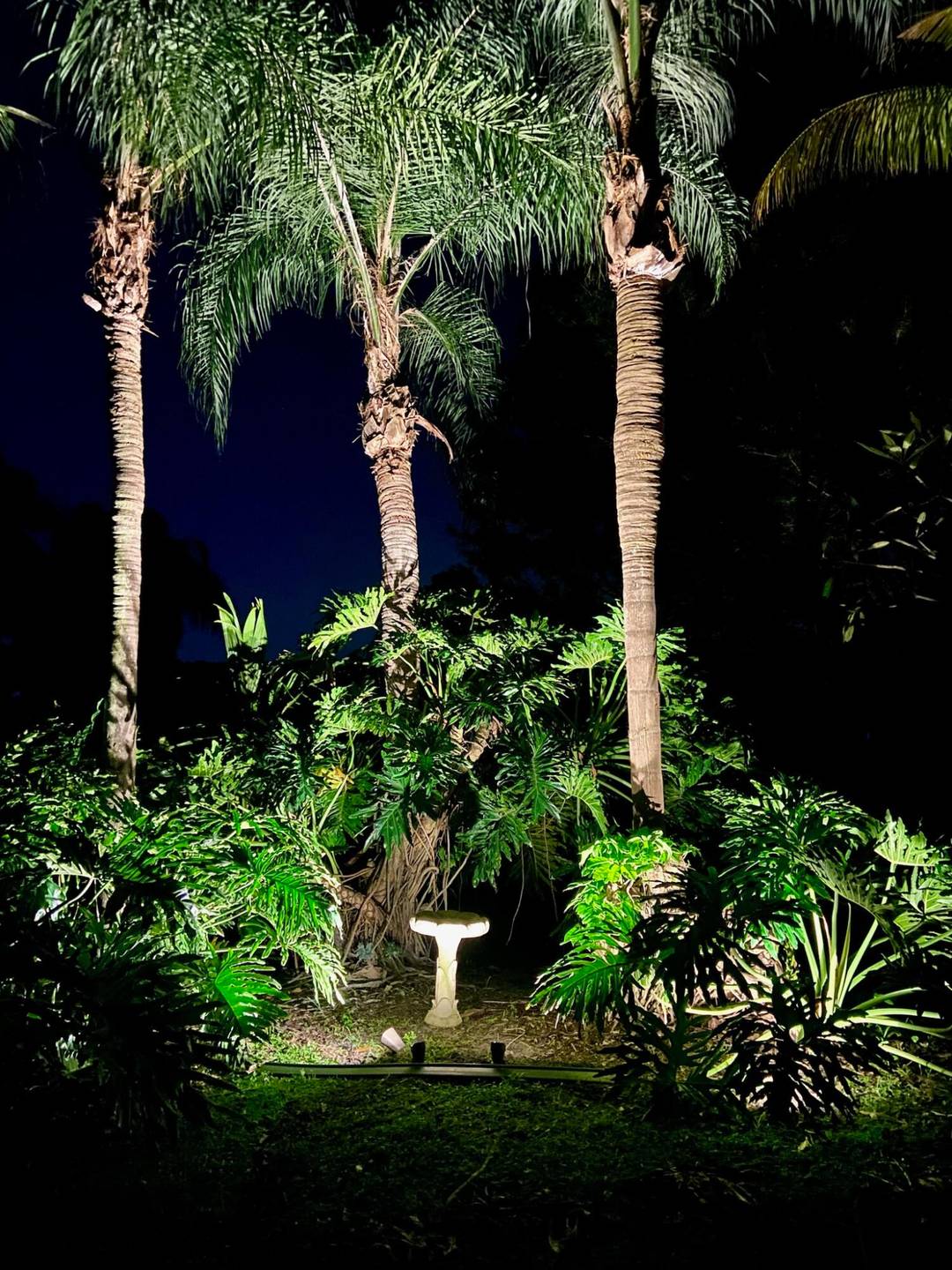 No HOA approval required !