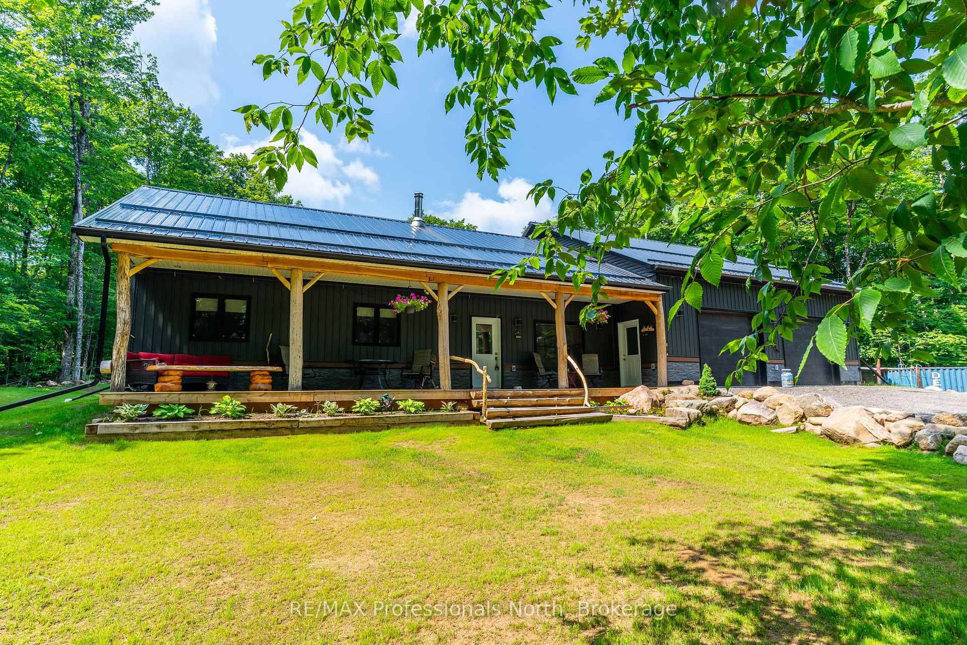 Immerse yourself in the tranquility of the forest.