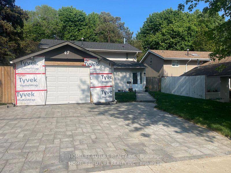 Move In Ready ! Open Concept Lower Level Apartment With Separate Entrance.