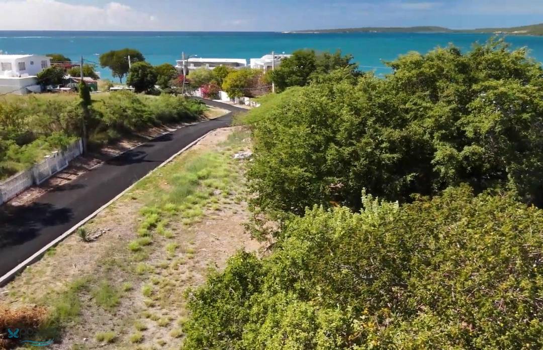 CARR 330 Land Guanica