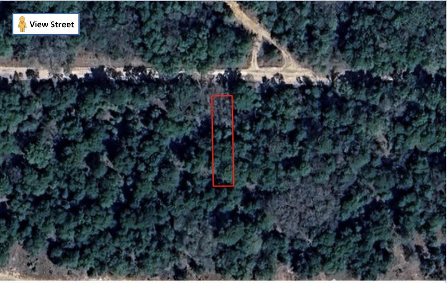 Build Your Dream Home by Flamingo Lake !