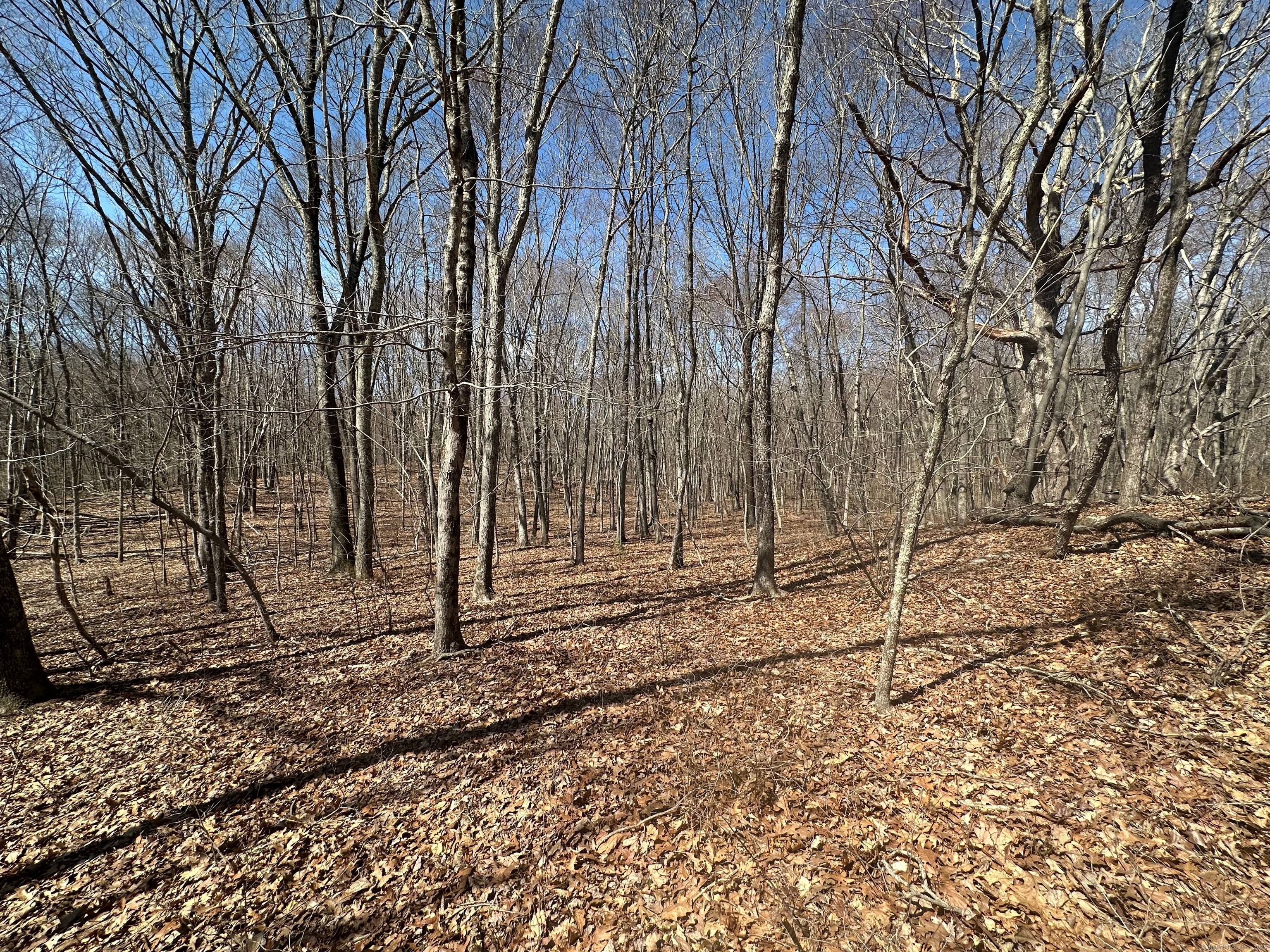 Presenting a rare opportunity to acquire a 23 acre parcel that has been held within a family for generations.
