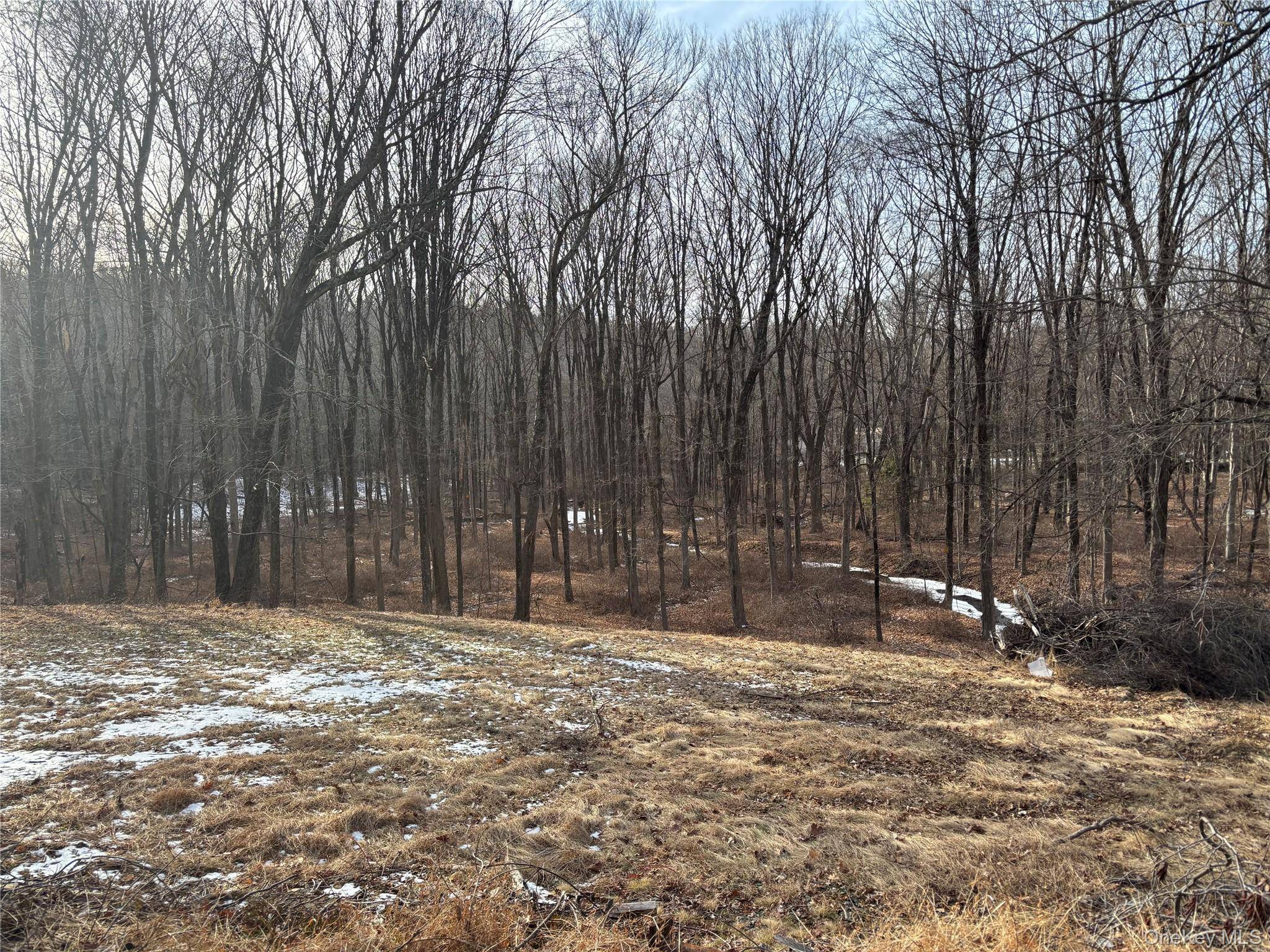 Ready to build 4 acre lot in prime location in Bedford NY, bordering the Mianus River Gorge Preserve.