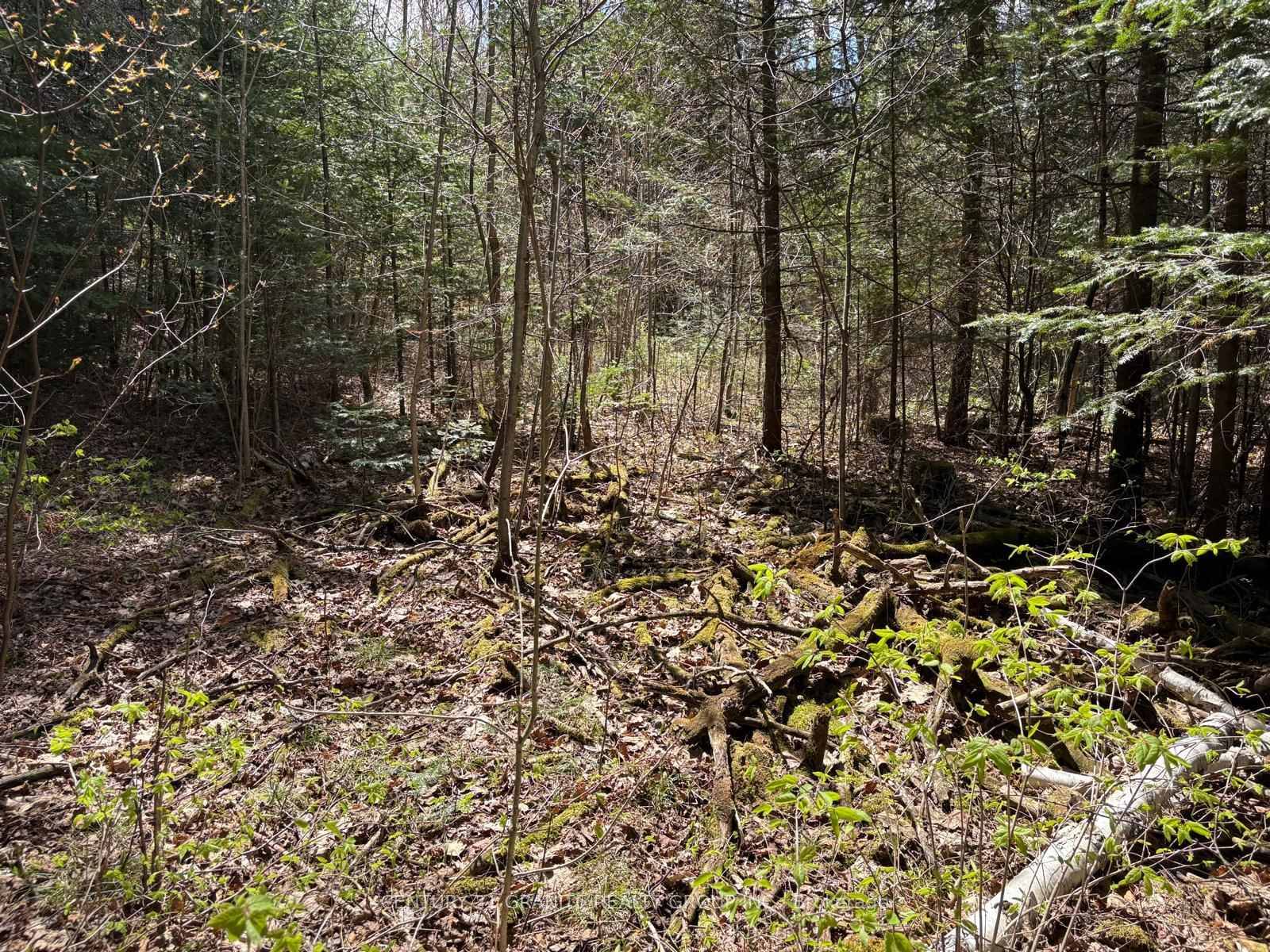 Prime 1 Acre Lot Minutes from Town.