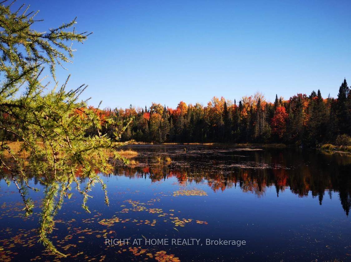 This is your chance to own a remarkable 99 acre property that embodies the ideal blend of comfort and outdoor adventure.