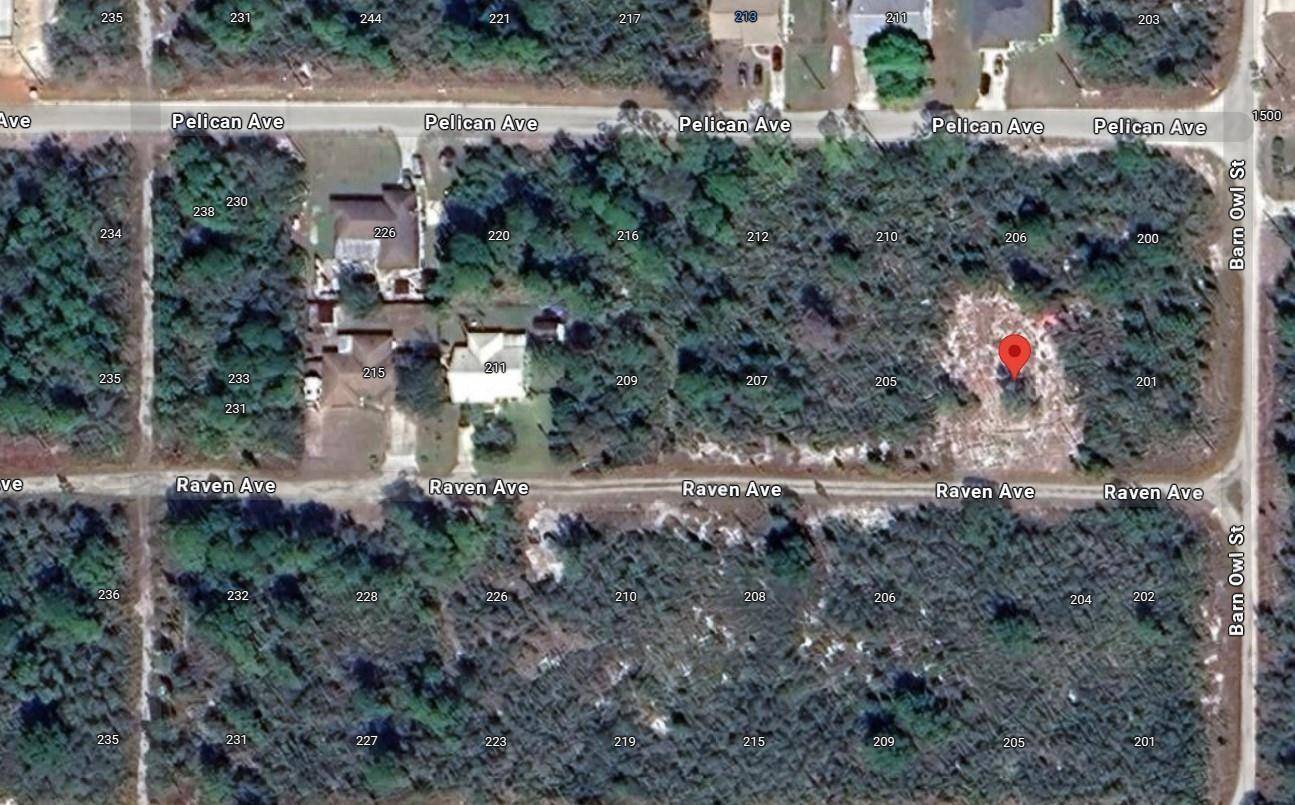 Do not miss out on this cleared high and dry vacant lot in Sebring Hills Community.