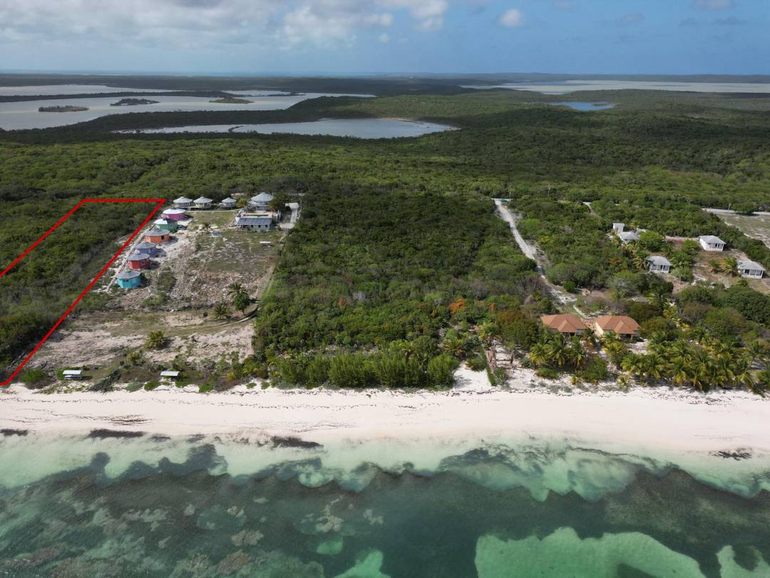 FLAMINGO BAY, CAT ISLAND Land Cat-Island